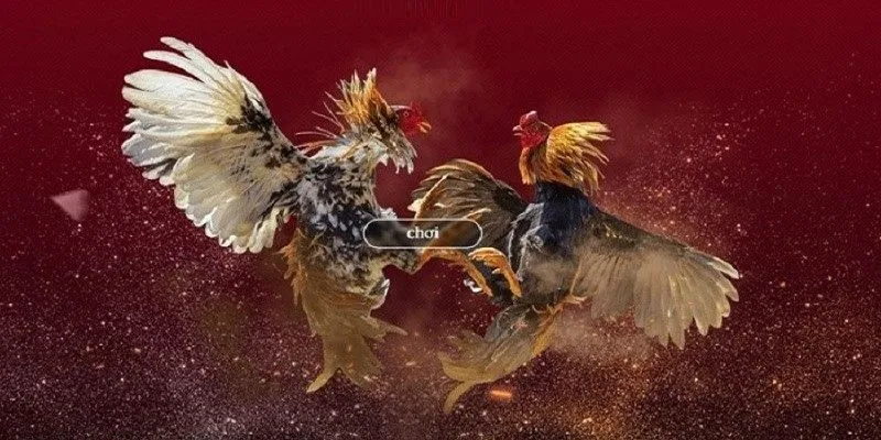Lý do game thủ nên lựa chọn nền tảng này