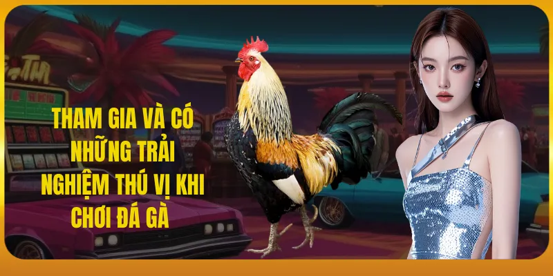 Tham gia đá gà 88 để cảm nhận sự thú vị 