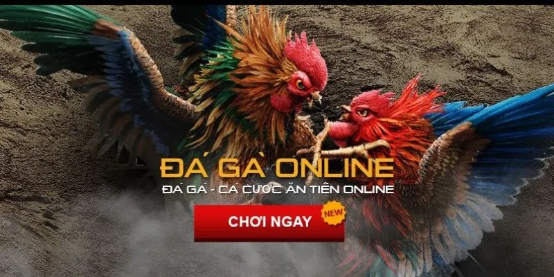 Tổng quan về đá gà trực tuyến 789bet